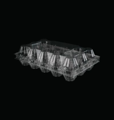 EGG Trays--2X6-250Pcs