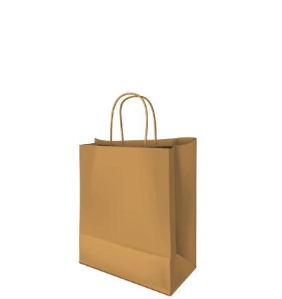 BBT25 Brown paper bag with twisted handle